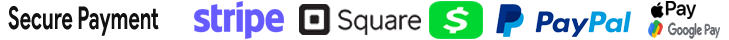 newsecurePayment